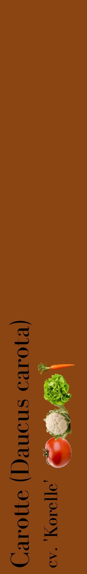 Étiquette de : Daucus carota cv. 'Korelle' - format c - style noire30_basiquebod avec comestibilité simplifiée