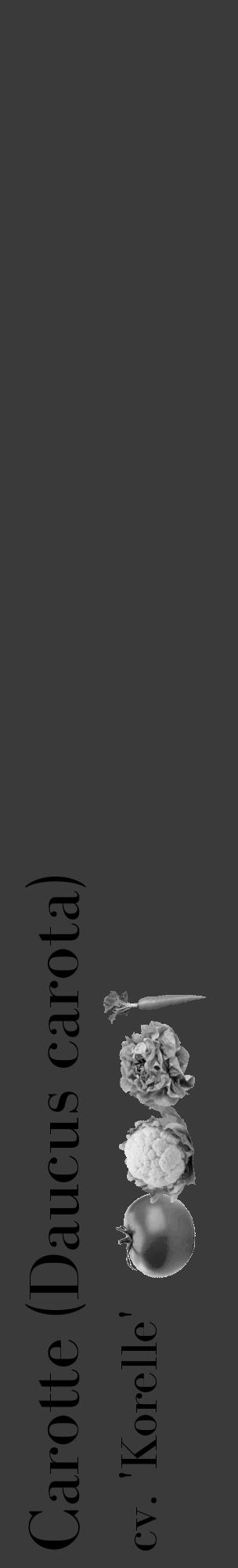 Étiquette de : Daucus carota cv. 'Korelle' - format c - style noire8_basique_basiquebod avec comestibilité simplifiée - position verticale