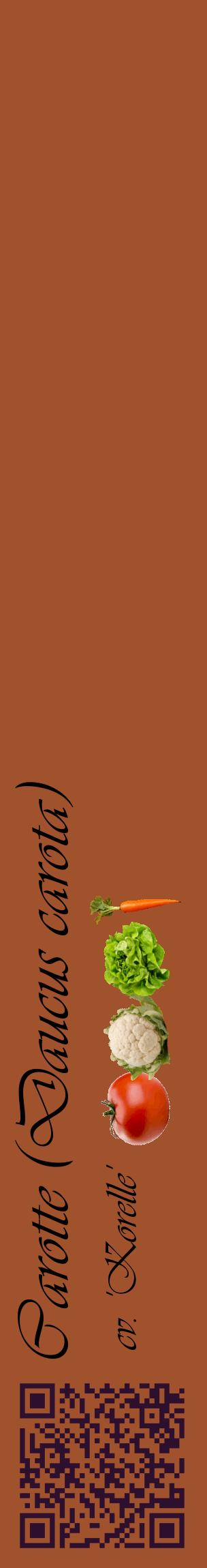 Étiquette de : Daucus carota cv. 'Korelle' - format c - style noire32_basiqueviv avec qrcode et comestibilité simplifiée