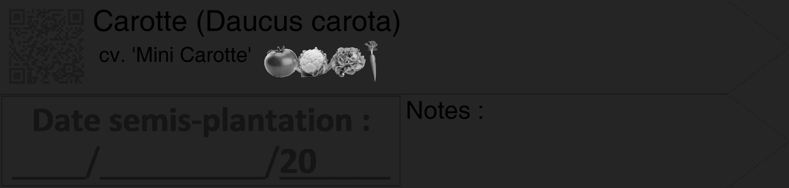 Étiquette de : Daucus carota cv. 'Mini Carotte' - format c - style noire47_simple_simplehel avec qrcode et comestibilité simplifiée