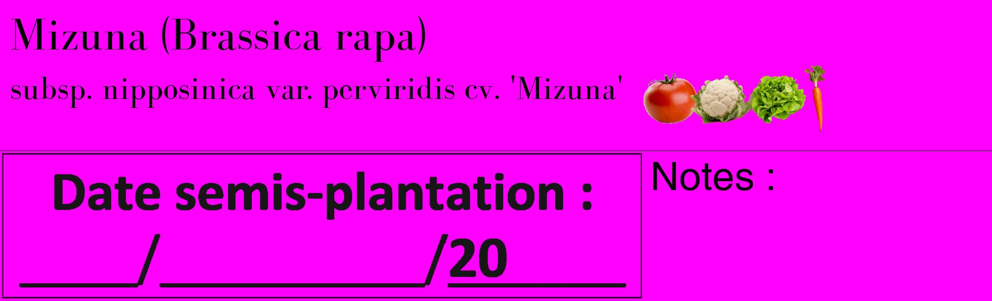 Étiquette de : Brassica rapa subsp. nipposinica var. perviridis cv. 'Mizuna' - format c - style noire51_basique_basiquebod avec comestibilité simplifiée