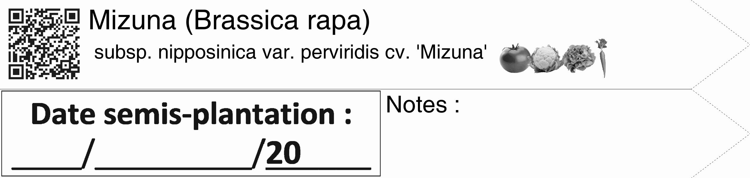 Étiquette de : Brassica rapa subsp. nipposinica var. perviridis cv. 'Mizuna' - format c - style noire19_simple_simplehel avec qrcode et comestibilité simplifiée