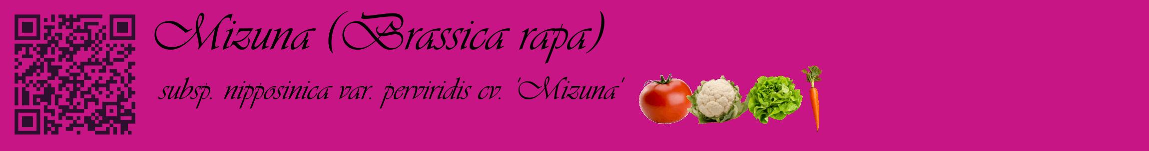Étiquette de : Brassica rapa subsp. nipposinica var. perviridis cv. 'Mizuna' - format c - style noire45basique_basique_basiqueviv avec qrcode et comestibilité simplifiée