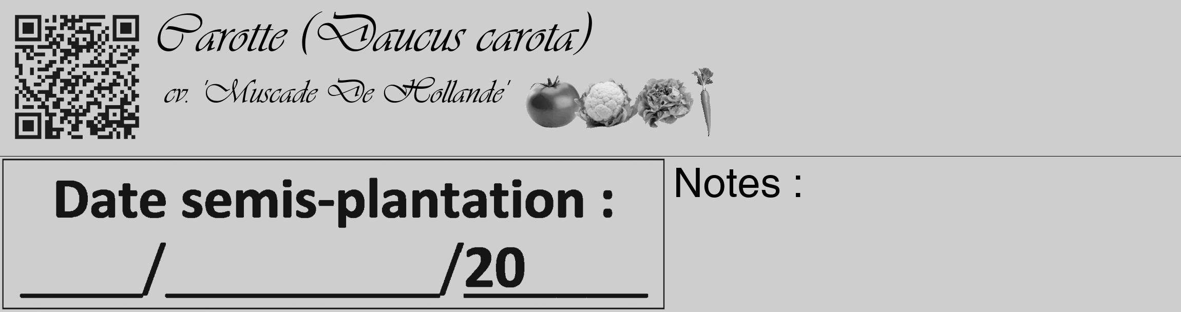 Étiquette de : Daucus carota cv. 'Muscade De Hollande' - format c - style noire17_basique_basiqueviv avec qrcode et comestibilité simplifiée