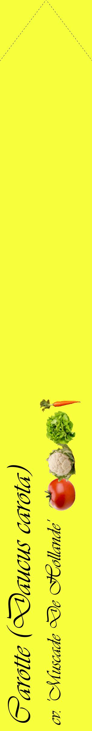 Étiquette de : Daucus carota cv. 'Muscade De Hollande' - format c - style noire18_simpleviv avec comestibilité simplifiée