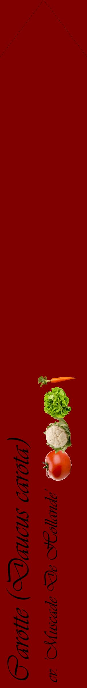 Étiquette de : Daucus carota cv. 'Muscade De Hollande' - format c - style noire29_simpleviv avec comestibilité simplifiée