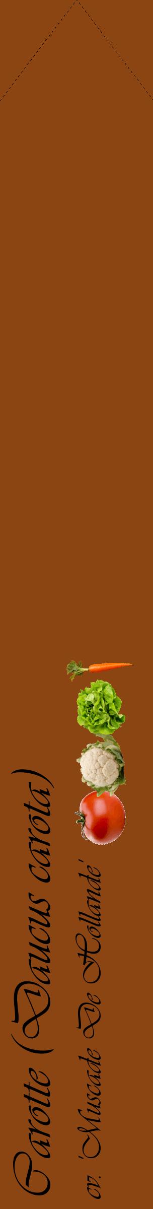 Étiquette de : Daucus carota cv. 'Muscade De Hollande' - format c - style noire30_simpleviv avec comestibilité simplifiée