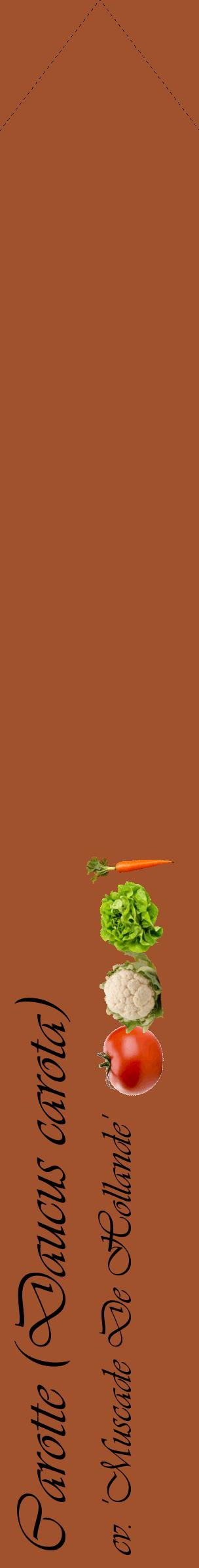 Étiquette de : Daucus carota cv. 'Muscade De Hollande' - format c - style noire32_simpleviv avec comestibilité simplifiée