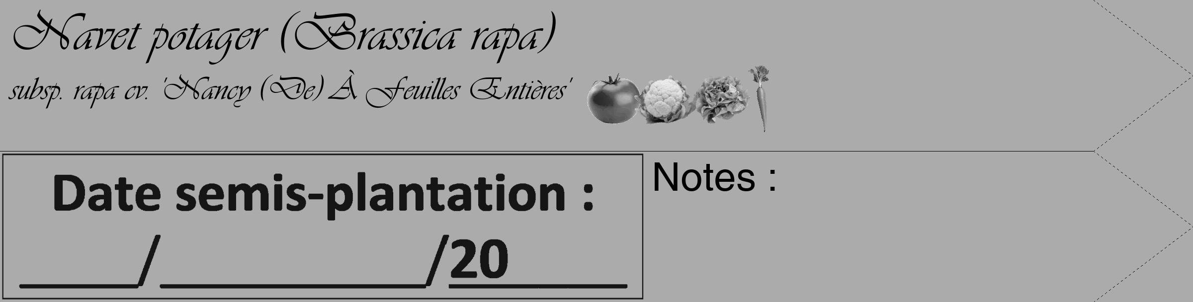 Étiquette de : Brassica rapa subsp. rapa cv. 'Nancy (De) À Feuilles Entières' - format c - style noire37_simple_simpleviv avec comestibilité simplifiée