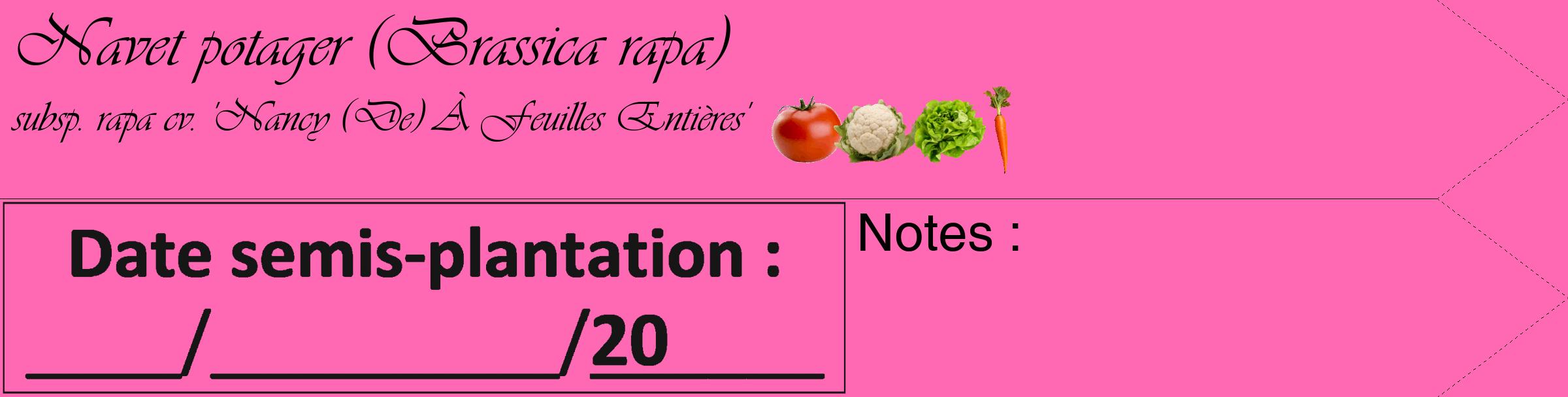 Étiquette de : Brassica rapa subsp. rapa cv. 'Nancy (De) À Feuilles Entières' - format c - style noire42_simple_simpleviv avec comestibilité simplifiée