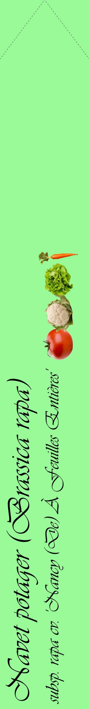Étiquette de : Brassica rapa subsp. rapa cv. 'Nancy (De) À Feuilles Entières' - format c - style noire14_simpleviv avec comestibilité simplifiée