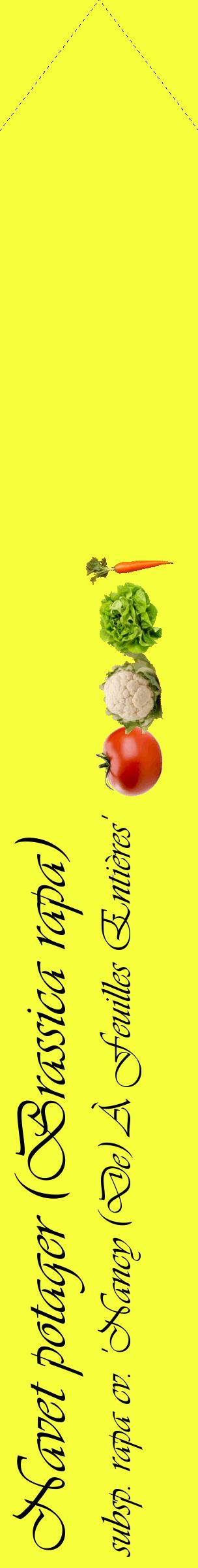 Étiquette de : Brassica rapa subsp. rapa cv. 'Nancy (De) À Feuilles Entières' - format c - style noire18_simpleviv avec comestibilité simplifiée