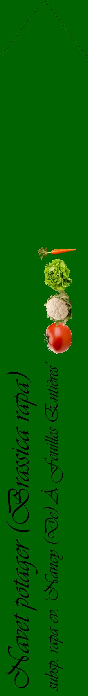 Étiquette de : Brassica rapa subsp. rapa cv. 'Nancy (De) À Feuilles Entières' - format c - style noire8_simpleviv avec comestibilité simplifiée
