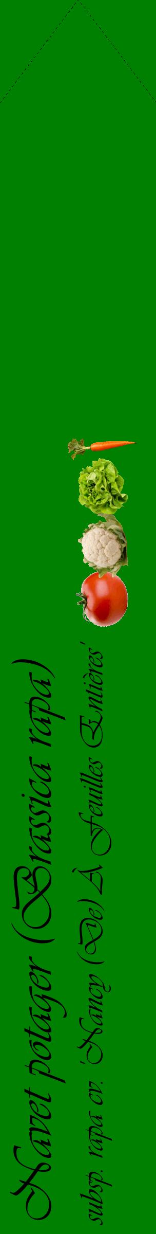 Étiquette de : Brassica rapa subsp. rapa cv. 'Nancy (De) À Feuilles Entières' - format c - style noire9_simpleviv avec comestibilité simplifiée