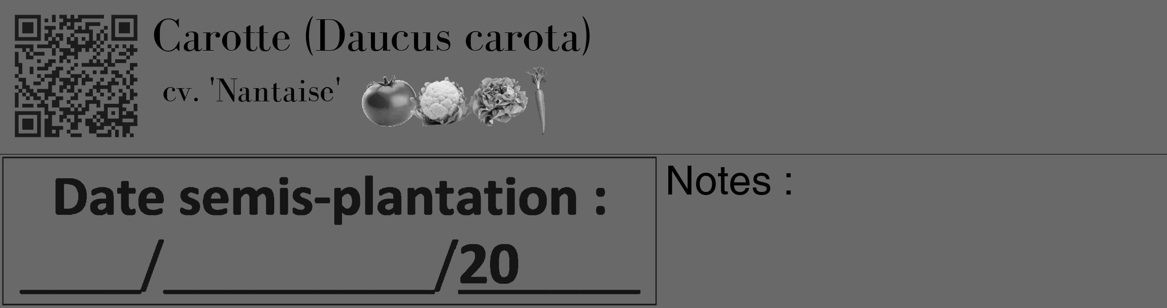 Étiquette de : Daucus carota cv. 'Nantaise' - format c - style noire11_basique_basiquebod avec qrcode et comestibilité simplifiée