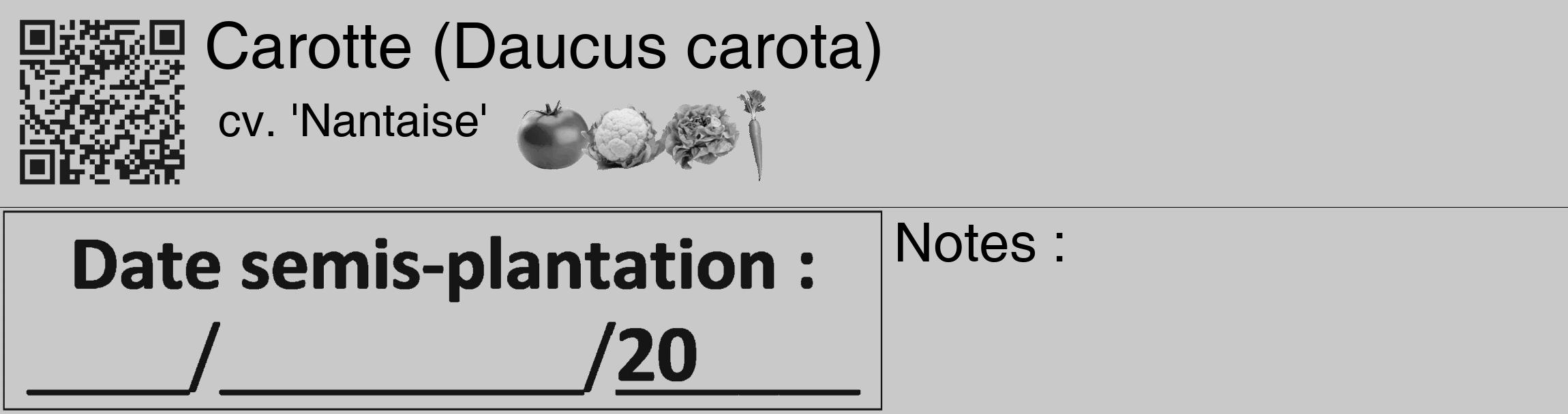 Étiquette de : Daucus carota cv. 'Nantaise' - format c - style noire54_basique_basiquehel avec qrcode et comestibilité simplifiée