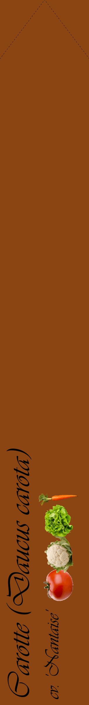 Étiquette de : Daucus carota cv. 'Nantaise' - format c - style noire30_simpleviv avec comestibilité simplifiée
