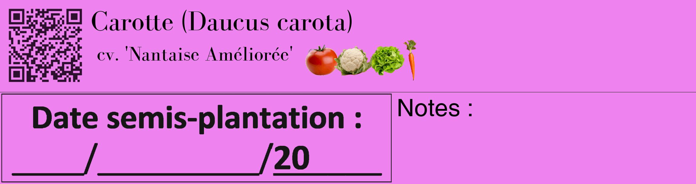 Étiquette de : Daucus carota cv. 'Nantaise Améliorée' - format c - style noire53_basique_basiquebod avec qrcode et comestibilité simplifiée