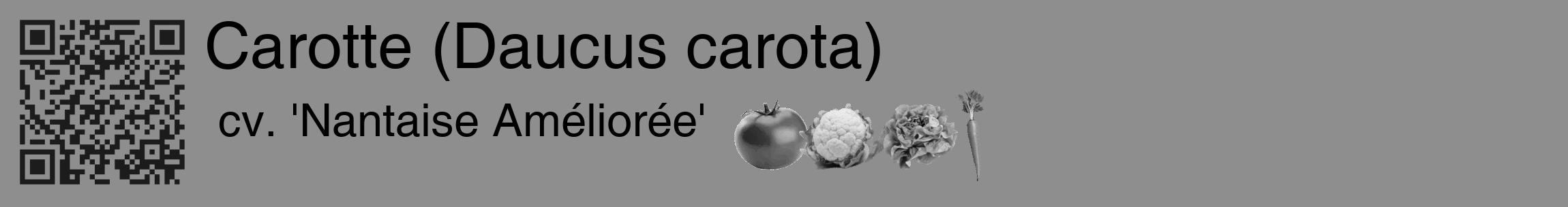 Étiquette de : Daucus carota cv. 'Nantaise Améliorée' - format c - style noire25_basique_basiquehel avec qrcode et comestibilité simplifiée