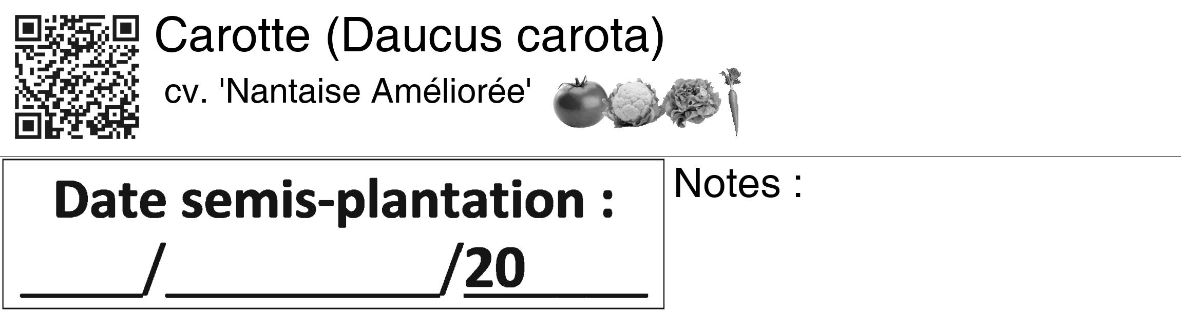 Étiquette de : Daucus carota cv. 'Nantaise Améliorée' - format c - style noire60_basiquegrrvhel avec qrcode et comestibilité simplifiée