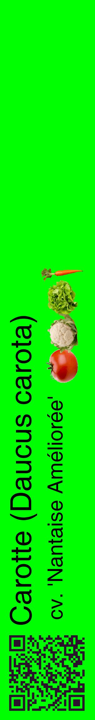 Étiquette de : Daucus carota cv. 'Nantaise Améliorée' - format c - style noire16_basiquehel avec qrcode et comestibilité simplifiée