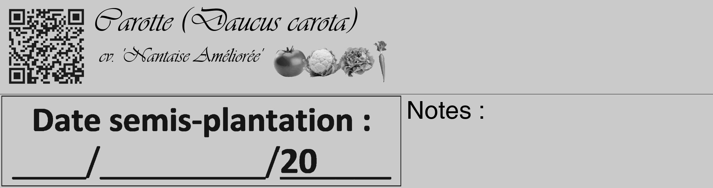 Étiquette de : Daucus carota cv. 'Nantaise Améliorée' - format c - style noire21_basique_basiqueviv avec qrcode et comestibilité simplifiée