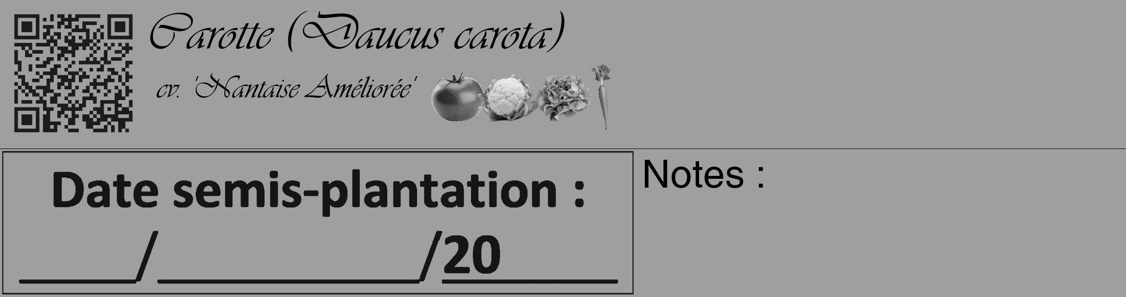 Étiquette de : Daucus carota cv. 'Nantaise Améliorée' - format c - style noire24_basique_basiqueviv avec qrcode et comestibilité simplifiée