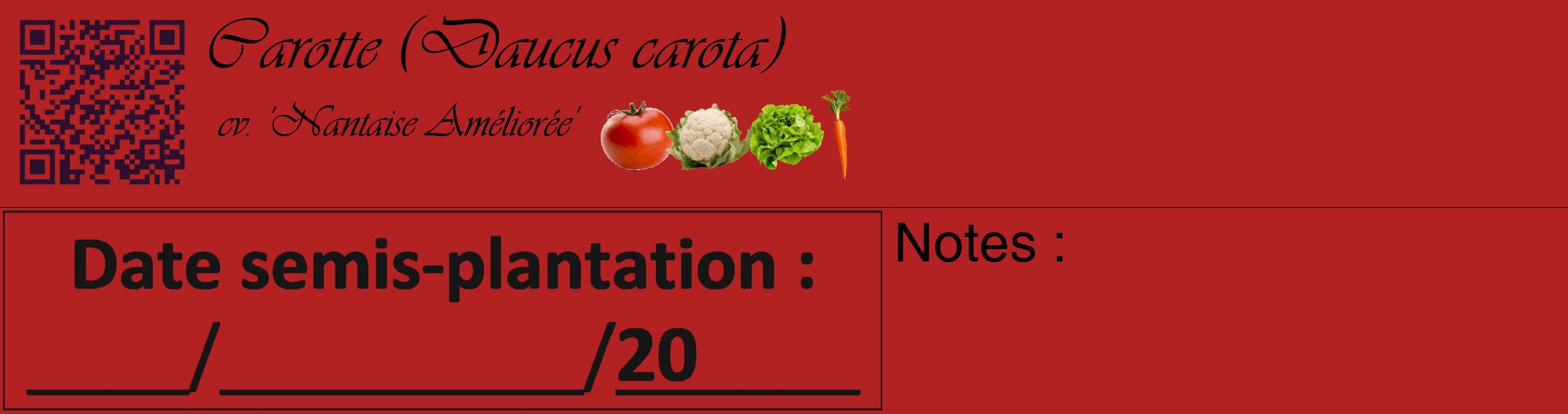 Étiquette de : Daucus carota cv. 'Nantaise Améliorée' - format c - style noire28_basique_basiqueviv avec qrcode et comestibilité simplifiée