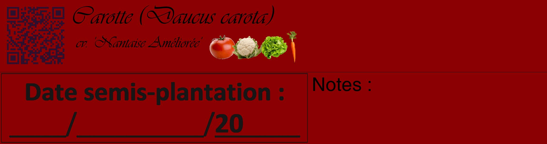 Étiquette de : Daucus carota cv. 'Nantaise Améliorée' - format c - style noire34_basique_basiqueviv avec qrcode et comestibilité simplifiée