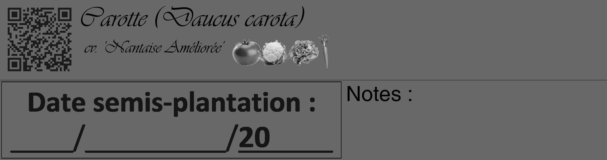 Étiquette de : Daucus carota cv. 'Nantaise Améliorée' - format c - style noire43_basique_basiqueviv avec qrcode et comestibilité simplifiée