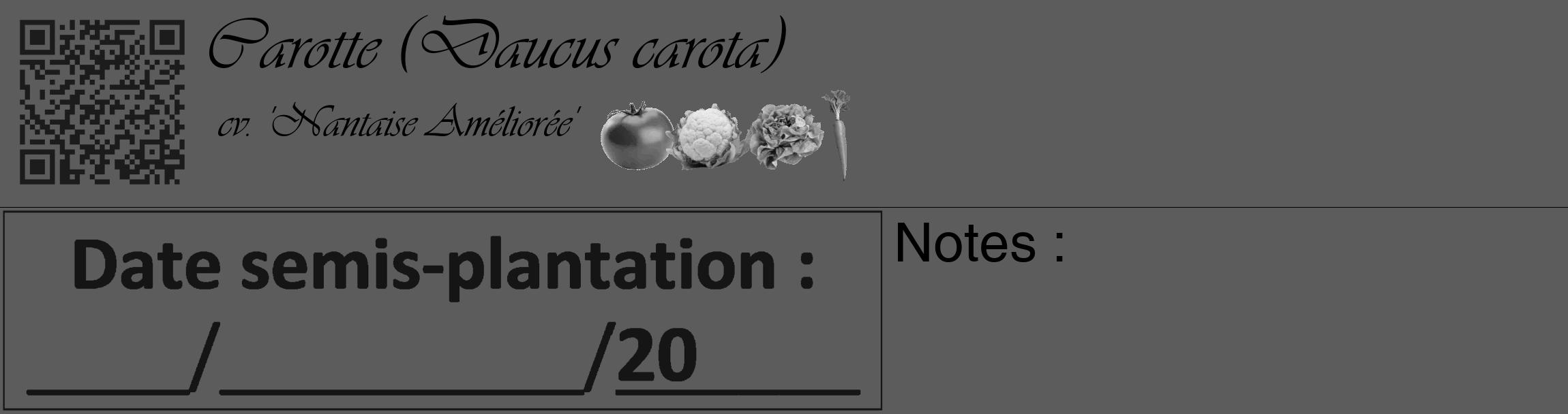 Étiquette de : Daucus carota cv. 'Nantaise Améliorée' - format c - style noire49_basique_basiqueviv avec qrcode et comestibilité simplifiée
