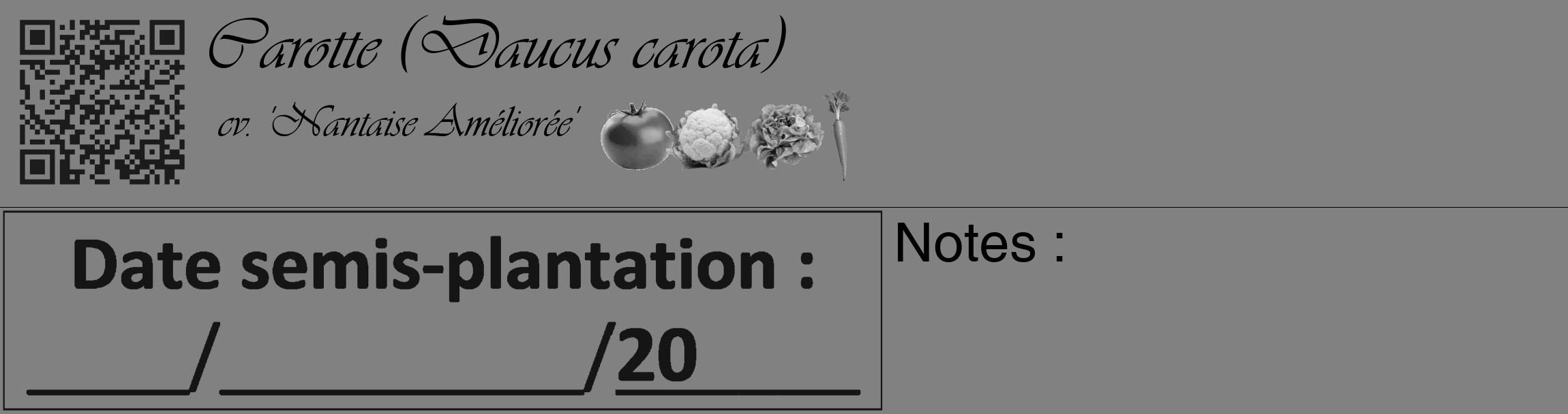 Étiquette de : Daucus carota cv. 'Nantaise Améliorée' - format c - style noire50_basique_basiqueviv avec qrcode et comestibilité simplifiée