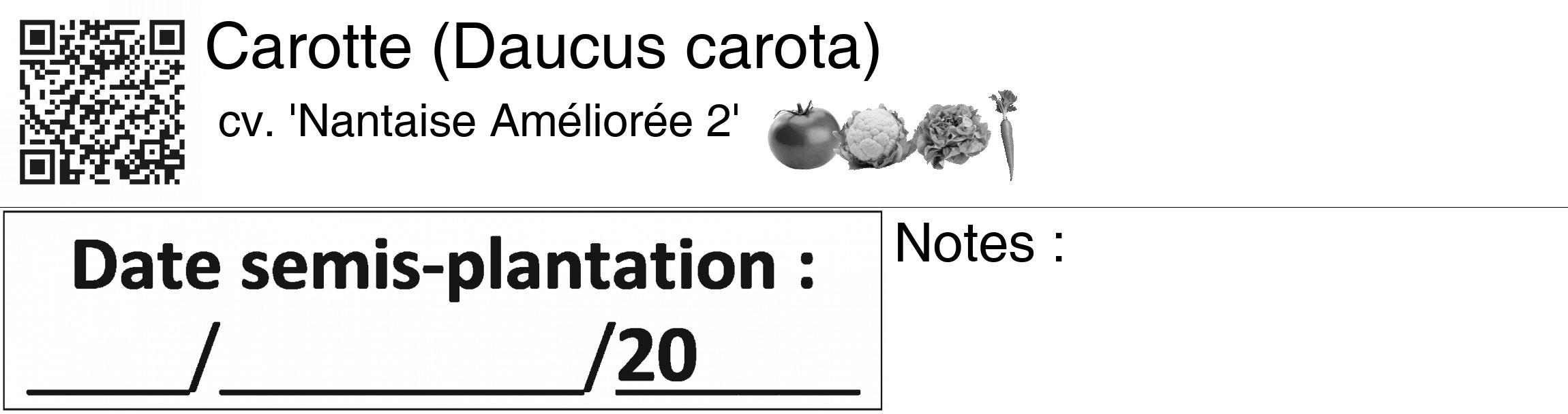 Étiquette de : Daucus carota cv. 'Nantaise Améliorée 2' - format c - style noire60_basiquegrrvhel avec qrcode et comestibilité simplifiée