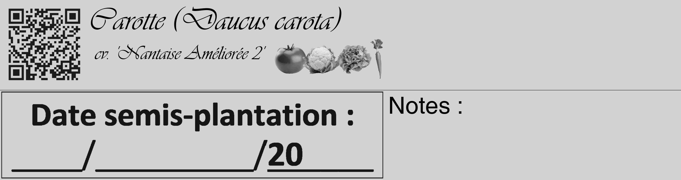 Étiquette de : Daucus carota cv. 'Nantaise Améliorée 2' - format c - style noire14_basique_basiqueviv avec qrcode et comestibilité simplifiée