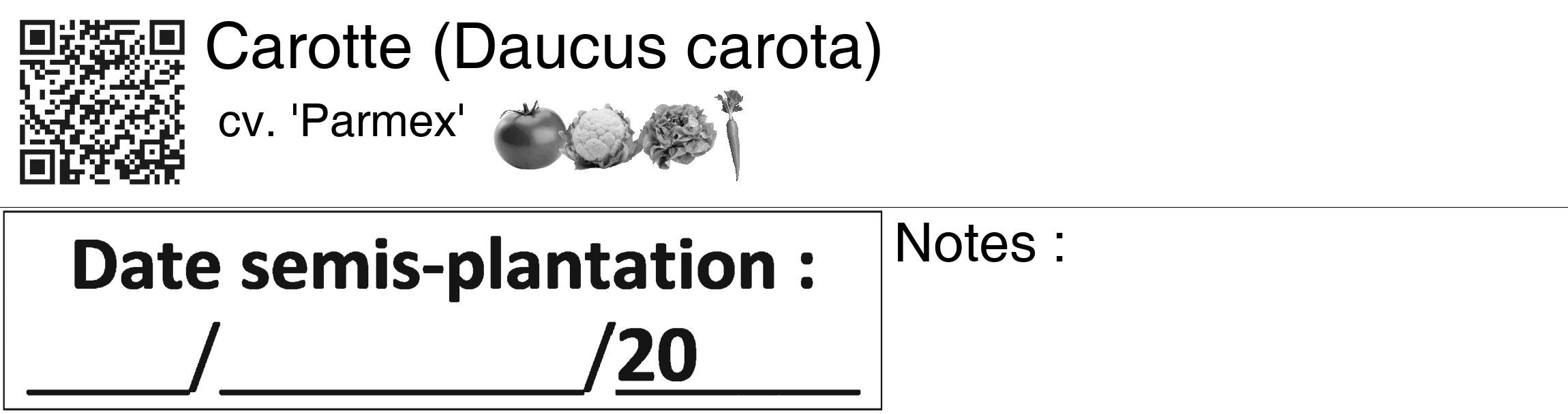 Étiquette de : Daucus carota cv. 'Parmex' - format c - style noire60_basiquegrrvhel avec qrcode et comestibilité simplifiée