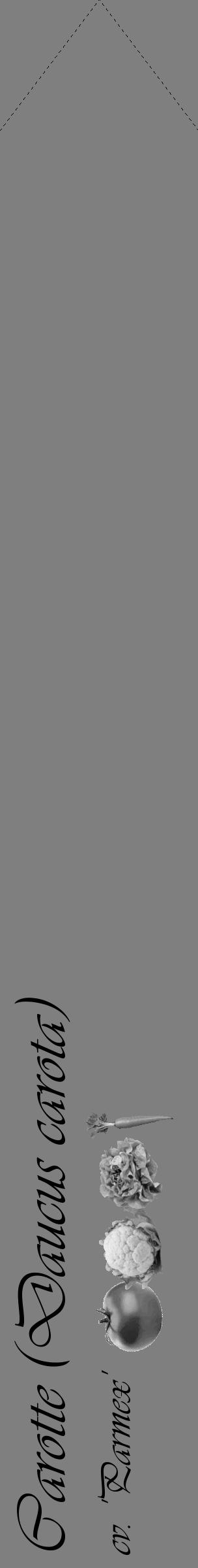 Étiquette de : Daucus carota cv. 'Parmex' - format c - style noire31_simple_simpleviv avec comestibilité simplifiée - position verticale