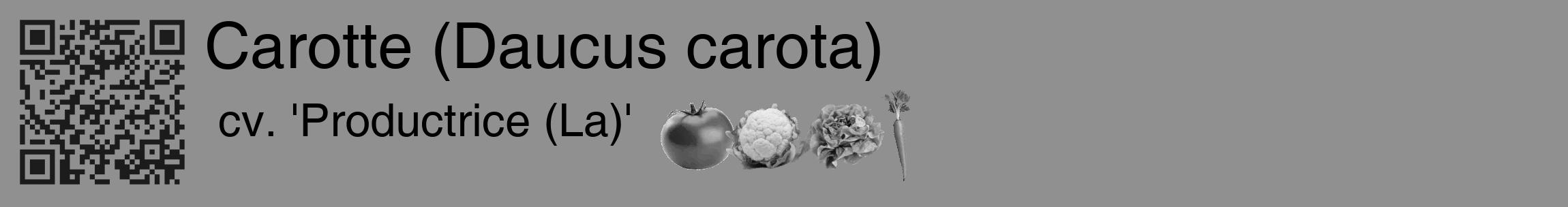 Étiquette de : Daucus carota cv. 'Productrice (La)' - format c - style noire4_basique_basiquehel avec qrcode et comestibilité simplifiée