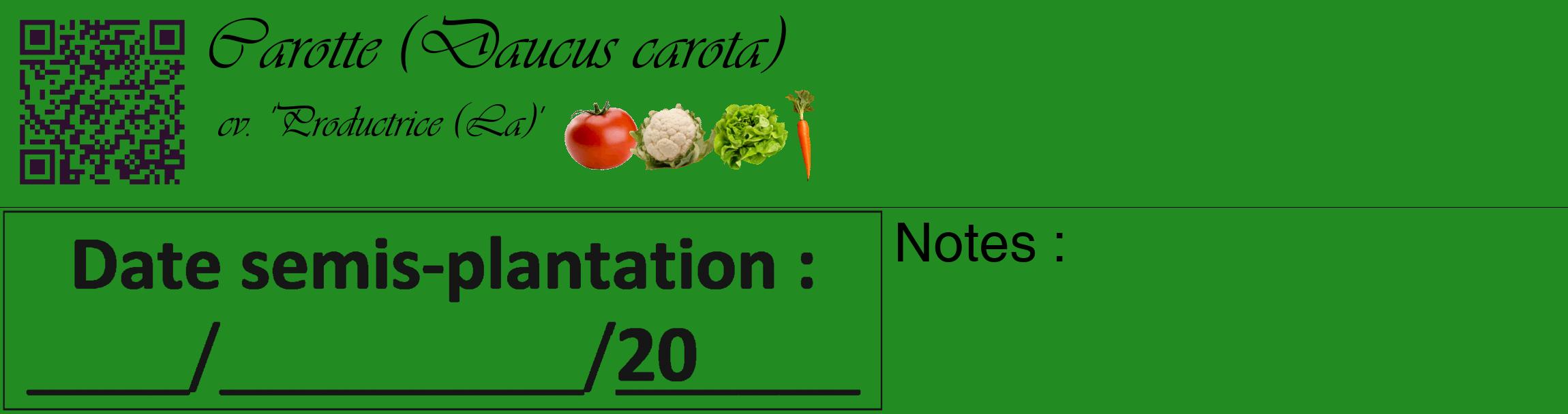Étiquette de : Daucus carota cv. 'Productrice (La)' - format c - style noire10_basique_basiqueviv avec qrcode et comestibilité simplifiée
