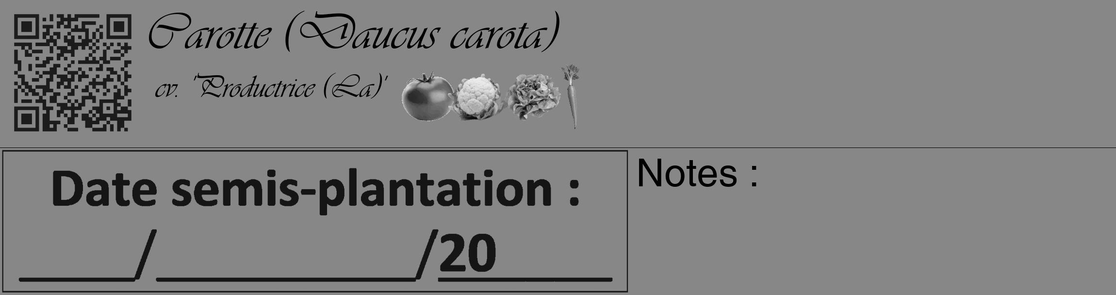 Étiquette de : Daucus carota cv. 'Productrice (La)' - format c - style noire12_basique_basiqueviv avec qrcode et comestibilité simplifiée