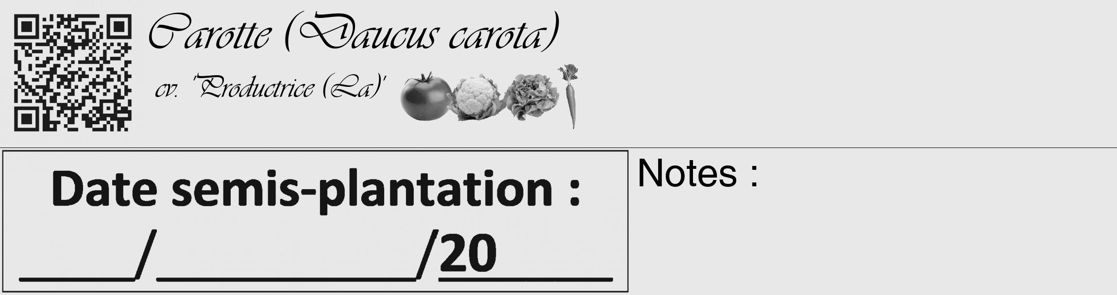 Étiquette de : Daucus carota cv. 'Productrice (La)' - format c - style noire55_basique_basiqueviv avec qrcode et comestibilité simplifiée