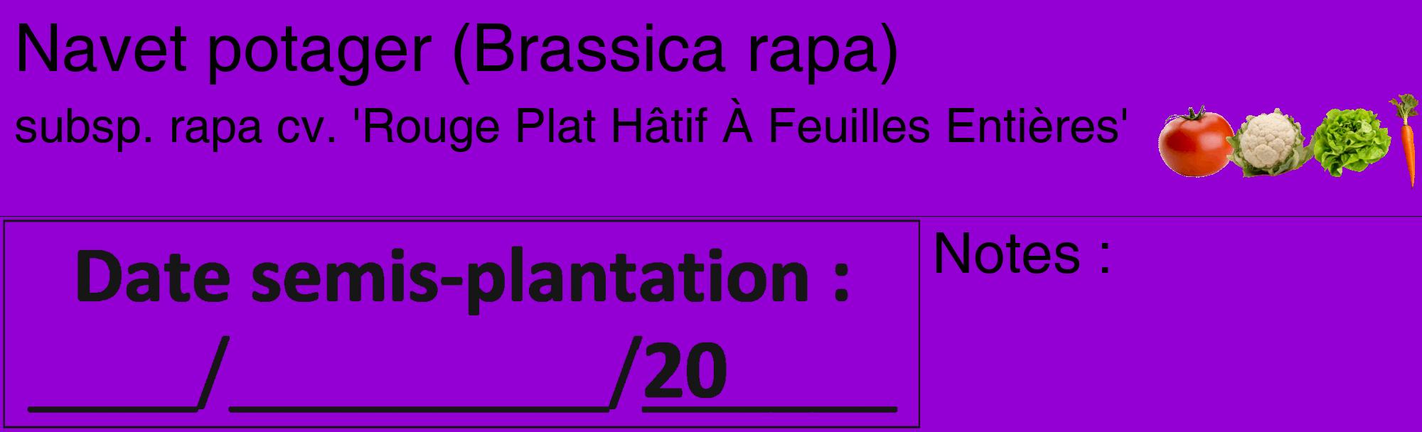 Étiquette de : Brassica rapa subsp. rapa cv. 'Rouge Plat Hâtif À Feuilles Entières' - format c - style noire48_basique_basiquehel avec comestibilité simplifiée