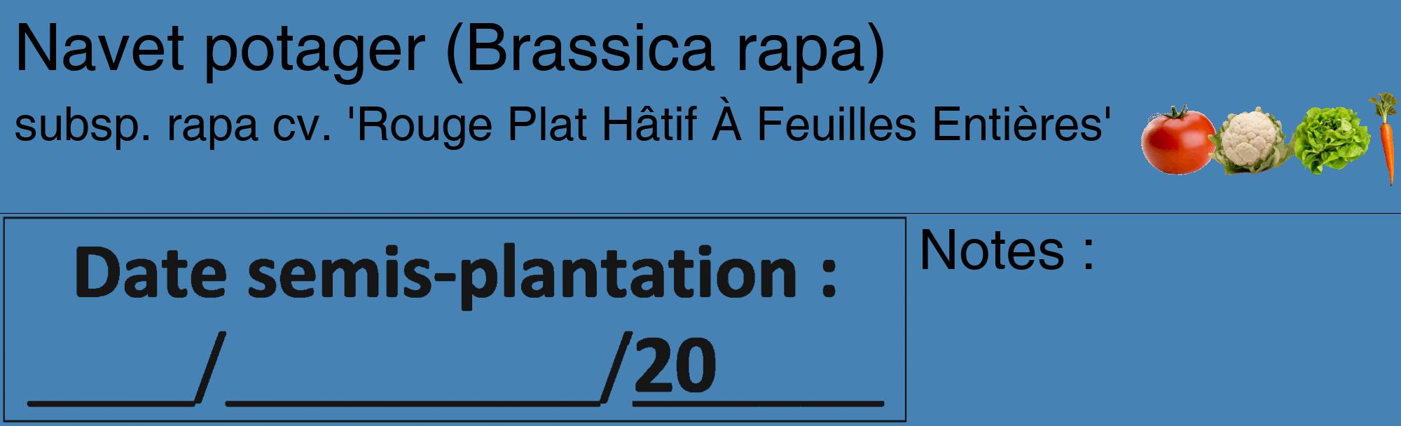 Étiquette de : Brassica rapa subsp. rapa cv. 'Rouge Plat Hâtif À Feuilles Entières' - format c - style noire5_basique_basiquehel avec comestibilité simplifiée