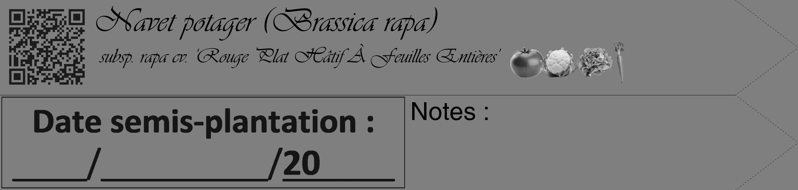 Étiquette de : Brassica rapa subsp. rapa cv. 'Rouge Plat Hâtif À Feuilles Entières' - format c - style noire57simple_basique_basiqueviv avec qrcode et comestibilité simplifiée
