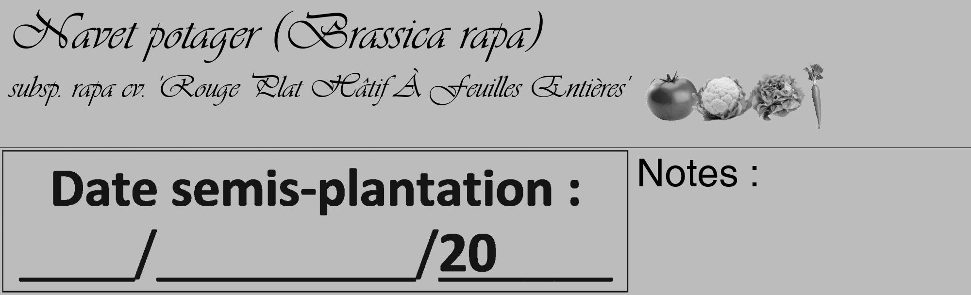 Étiquette de : Brassica rapa subsp. rapa cv. 'Rouge Plat Hâtif À Feuilles Entières' - format c - style noire1_basique_basiqueviv avec comestibilité simplifiée