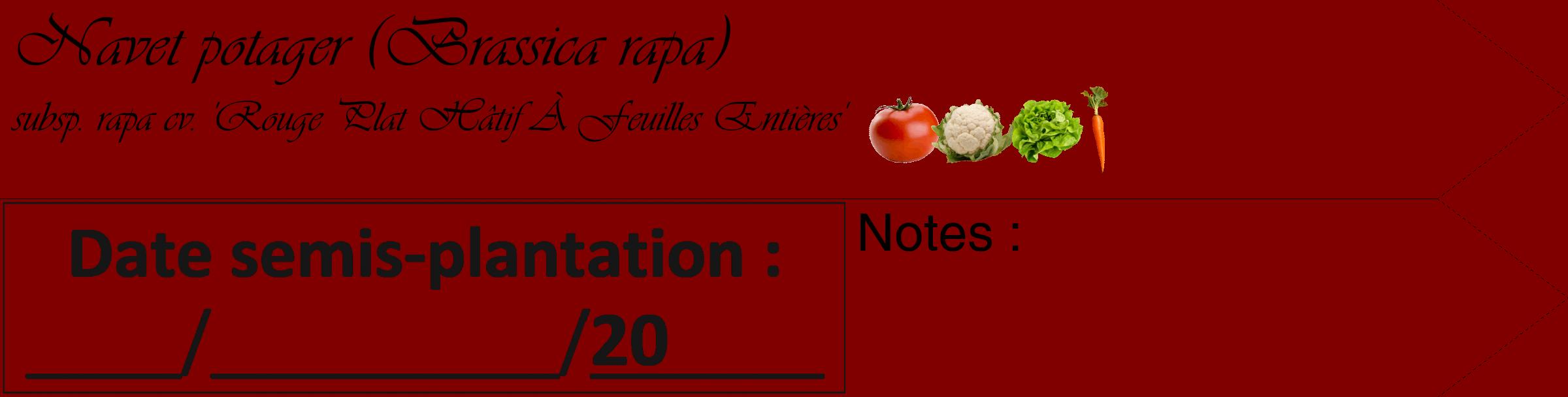 Étiquette de : Brassica rapa subsp. rapa cv. 'Rouge Plat Hâtif À Feuilles Entières' - format c - style noire29_simple_simpleviv avec comestibilité simplifiée