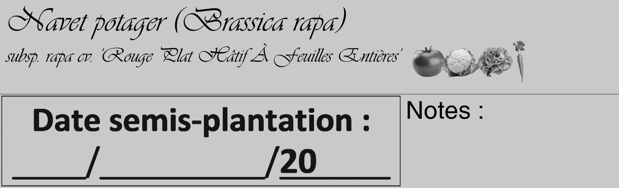 Étiquette de : Brassica rapa subsp. rapa cv. 'Rouge Plat Hâtif À Feuilles Entières' - format c - style noire54_basique_basiqueviv avec comestibilité simplifiée