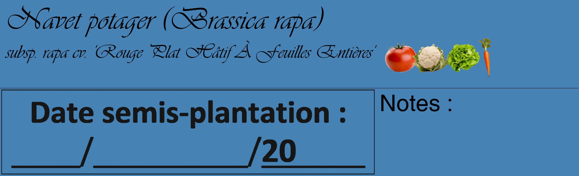 Étiquette de : Brassica rapa subsp. rapa cv. 'Rouge Plat Hâtif À Feuilles Entières' - format c - style noire5_basique_basiqueviv avec comestibilité simplifiée