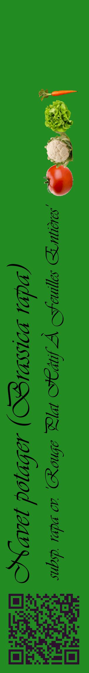 Étiquette de : Brassica rapa subsp. rapa cv. 'Rouge Plat Hâtif À Feuilles Entières' - format c - style noire10_basiqueviv avec qrcode et comestibilité simplifiée