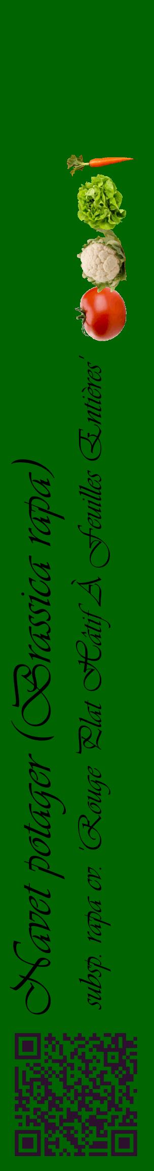 Étiquette de : Brassica rapa subsp. rapa cv. 'Rouge Plat Hâtif À Feuilles Entières' - format c - style noire8_basiqueviv avec qrcode et comestibilité simplifiée