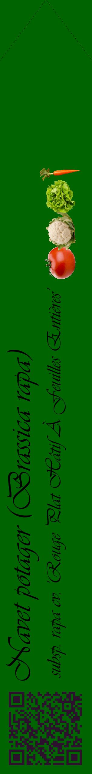 Étiquette de : Brassica rapa subsp. rapa cv. 'Rouge Plat Hâtif À Feuilles Entières' - format c - style noire8_simpleviv avec qrcode et comestibilité simplifiée